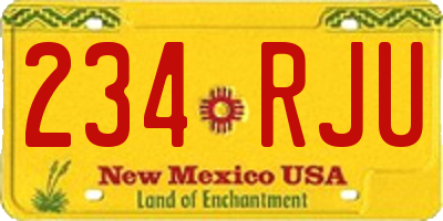 NM license plate 234RJU