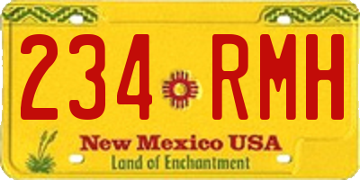 NM license plate 234RMH