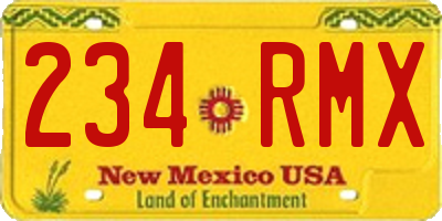 NM license plate 234RMX