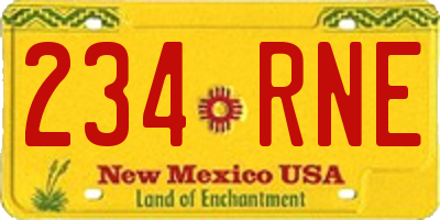 NM license plate 234RNE