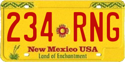 NM license plate 234RNG