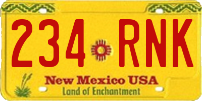 NM license plate 234RNK
