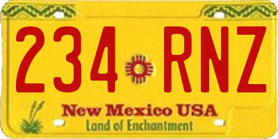 NM license plate 234RNZ