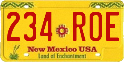 NM license plate 234ROE