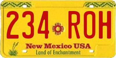 NM license plate 234ROH