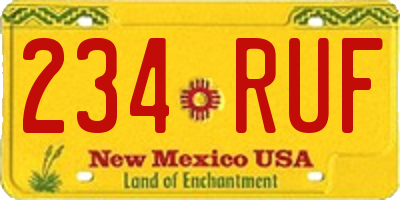 NM license plate 234RUF