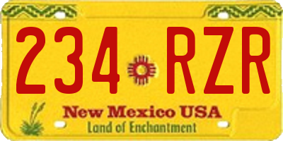 NM license plate 234RZR