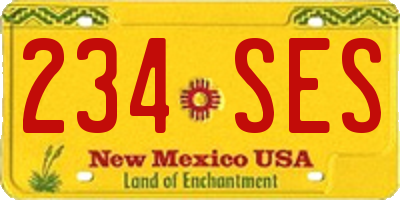NM license plate 234SES