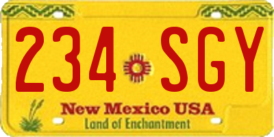 NM license plate 234SGY