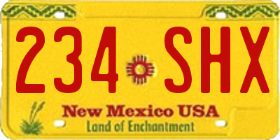 NM license plate 234SHX