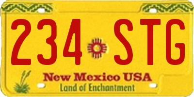 NM license plate 234STG