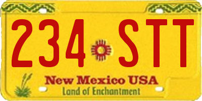 NM license plate 234STT