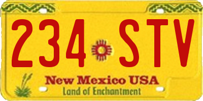 NM license plate 234STV