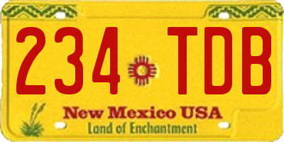 NM license plate 234TDB