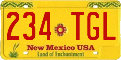 NM license plate 234TGL