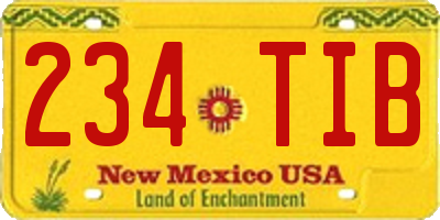 NM license plate 234TIB