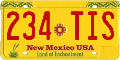 NM license plate 234TIS