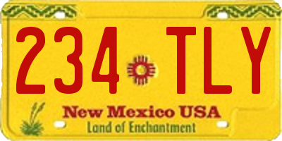 NM license plate 234TLY