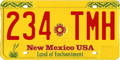 NM license plate 234TMH