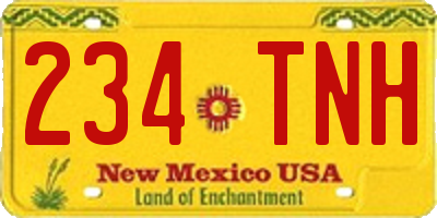 NM license plate 234TNH