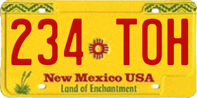 NM license plate 234TOH