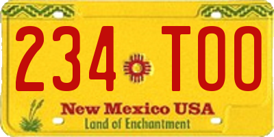 NM license plate 234TOO