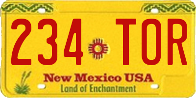 NM license plate 234TOR