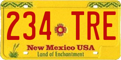 NM license plate 234TRE