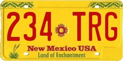 NM license plate 234TRG