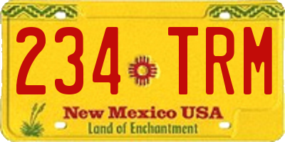 NM license plate 234TRM