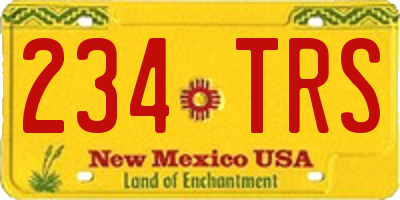NM license plate 234TRS