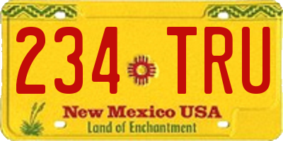 NM license plate 234TRU