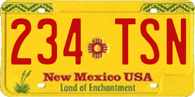 NM license plate 234TSN