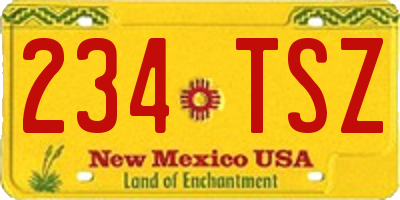 NM license plate 234TSZ