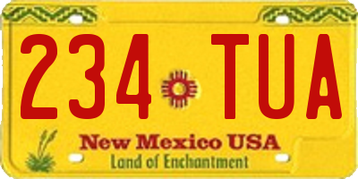 NM license plate 234TUA