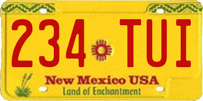 NM license plate 234TUI