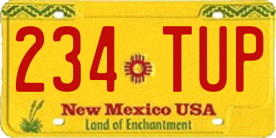 NM license plate 234TUP