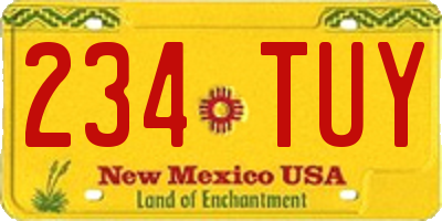 NM license plate 234TUY