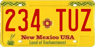 NM license plate 234TUZ