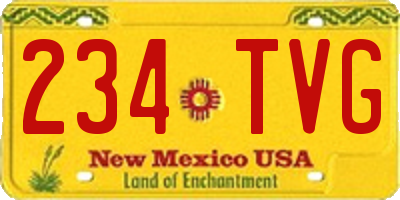 NM license plate 234TVG
