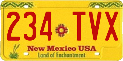 NM license plate 234TVX