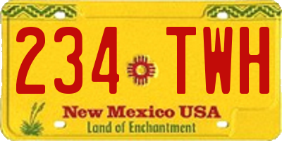 NM license plate 234TWH