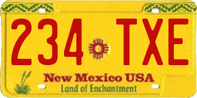 NM license plate 234TXE
