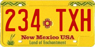 NM license plate 234TXH