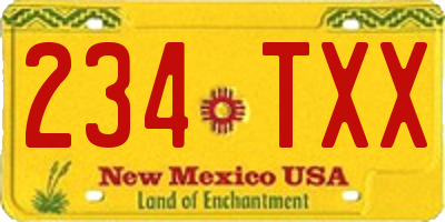 NM license plate 234TXX