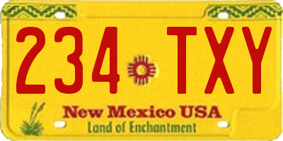 NM license plate 234TXY