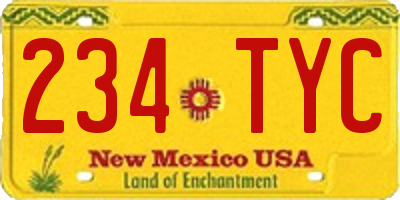 NM license plate 234TYC