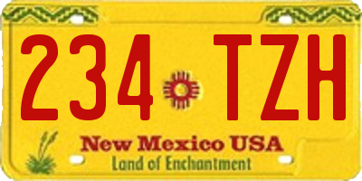 NM license plate 234TZH