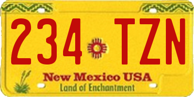 NM license plate 234TZN