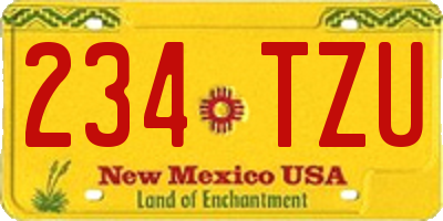 NM license plate 234TZU